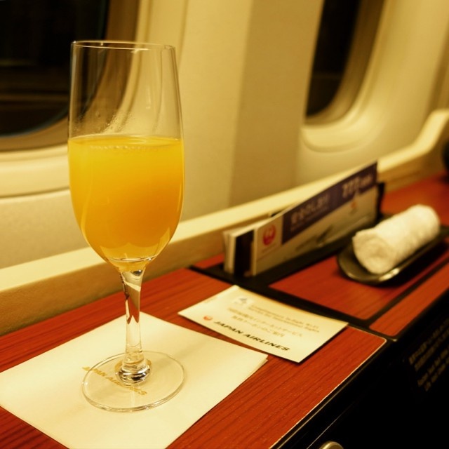 First Class In Different Airlines (38 pics)