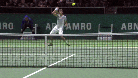 Acid Gifdump, August 22, 2018 (25 gifs)