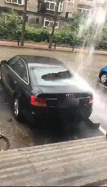 Acid Gifdump, August 22, 2018 (25 gifs)