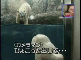 Acid Gifdump, August 22, 2018 (25 gifs)