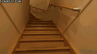 Acid Gifdump, August 22, 2018 (25 gifs)