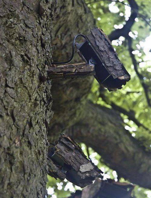 Acid Picdump (90 pics)