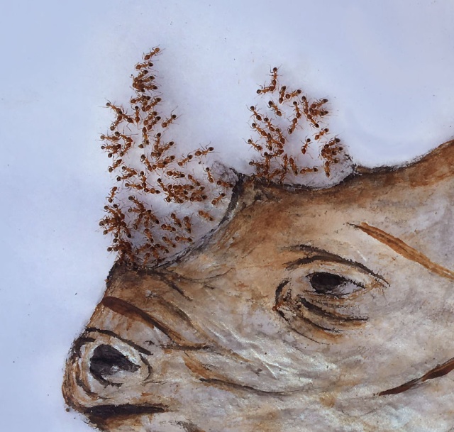 Paintings Made With Ants In Sugar (12 pics)