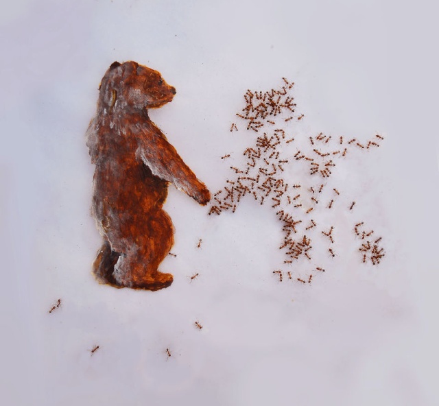 Paintings Made With Ants In Sugar (12 pics)