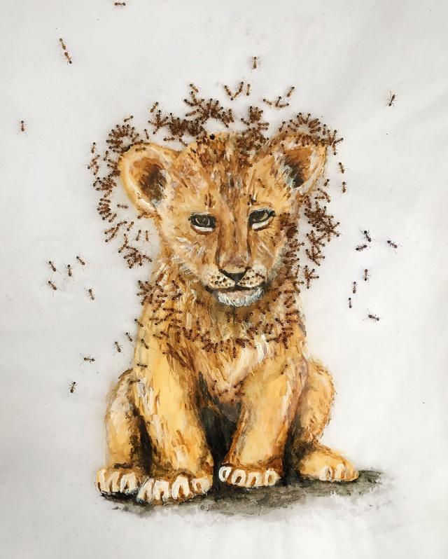 Paintings Made With Ants In Sugar (12 pics)