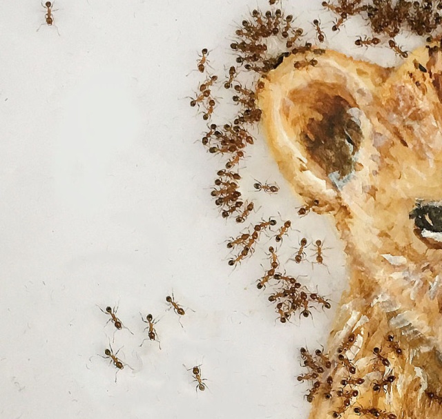 Paintings Made With Ants In Sugar (12 pics)