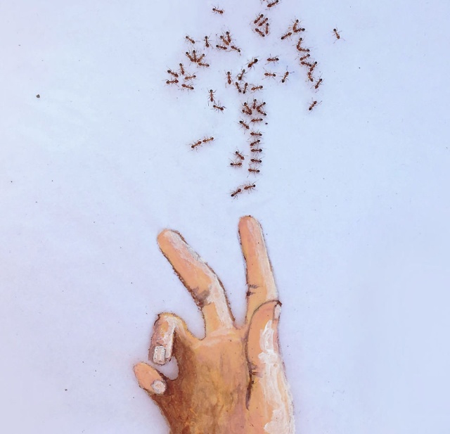 Paintings Made With Ants In Sugar (12 pics)
