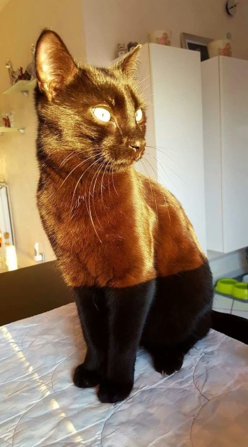 Cool Animals (15 pics)