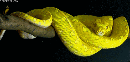 Acid Gifdump, August 23, 2018 (25 gifs)