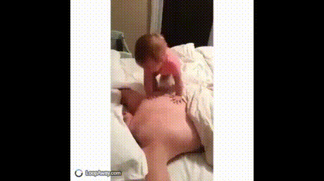 Acid Gifdump, August 23, 2018 (25 gifs)