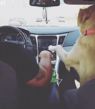 Acid Gifdump, August 23, 2018 (25 gifs)