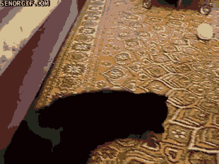 Acid Gifdump, August 23, 2018 (25 gifs)