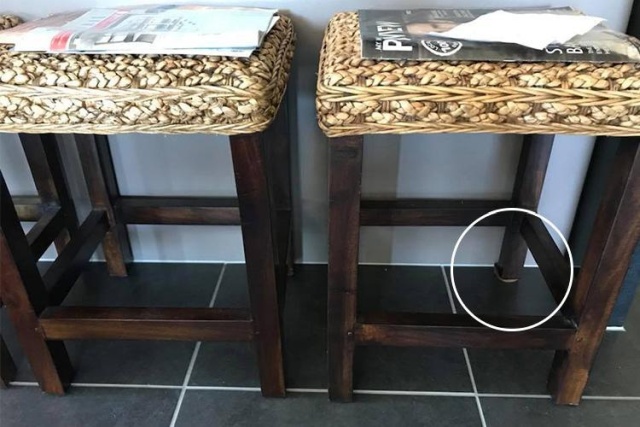 Can You Spot A Snake In This Photo? (4 pics)
