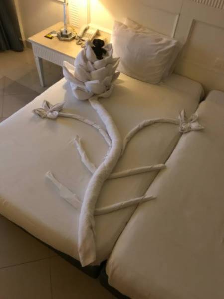 These People Got Talent (37 pics)