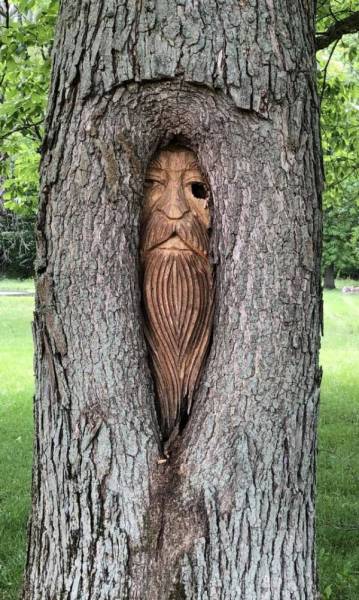 These People Got Talent (37 pics)