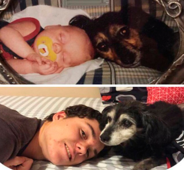 As Time Goes By (19 pics)