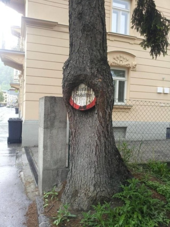 As Time Goes By (19 pics)