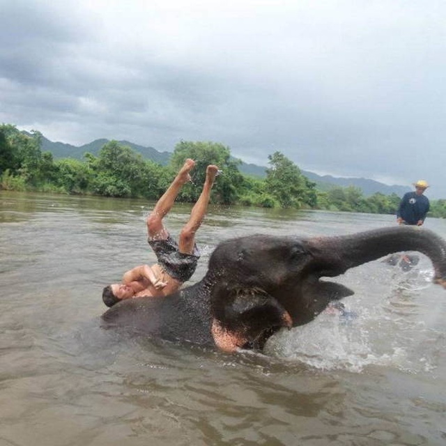 Acid Picdump (90 pics)