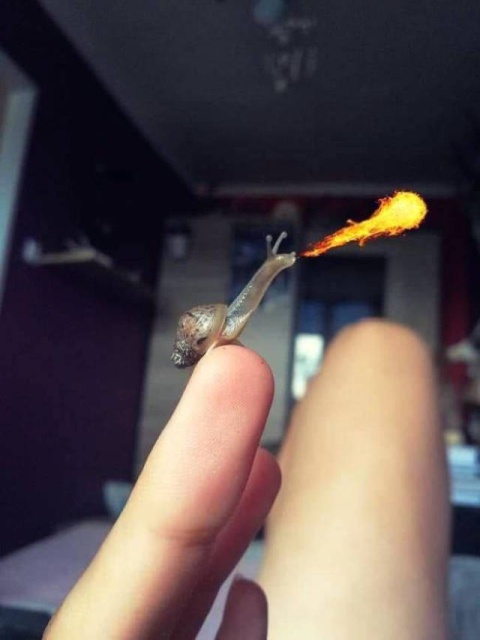 Acid Picdump (90 pics)