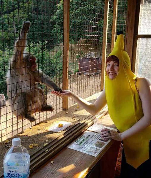 Acid Picdump (90 pics)