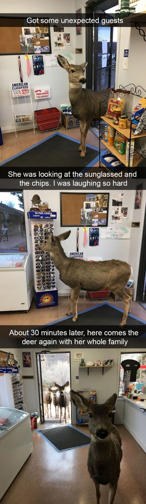 Funny Animal Snapchats (30 pics)