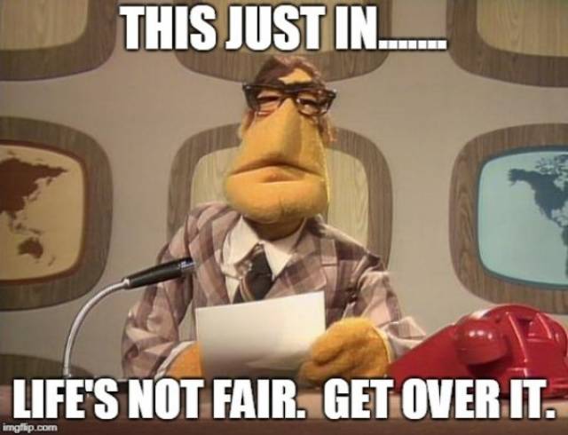 Everyone Is So Sensitive Today (38 pics)