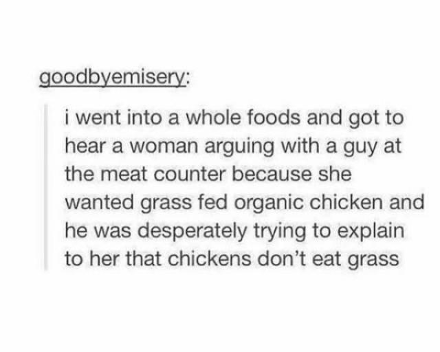 Everyone Is So Sensitive Today (38 pics)