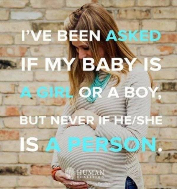 Everyone Is So Sensitive Today (38 pics)