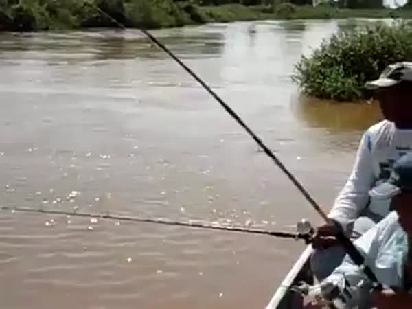 Fisherman Hits Crocodile That Tried To Steal Fish