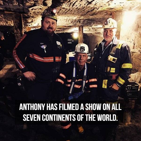 Facts About Anthony Bourdain (19 pics)