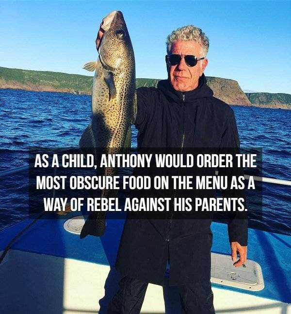 Facts About Anthony Bourdain (19 pics)