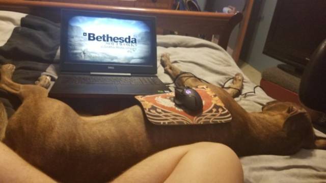 Pictures For Gamers (32 pics)