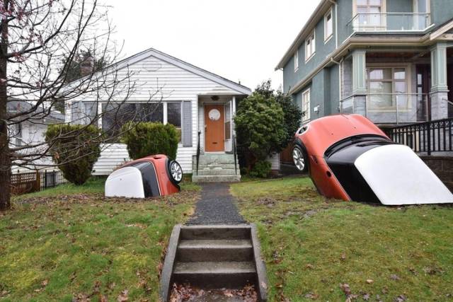 WTF Photos (20 pics)