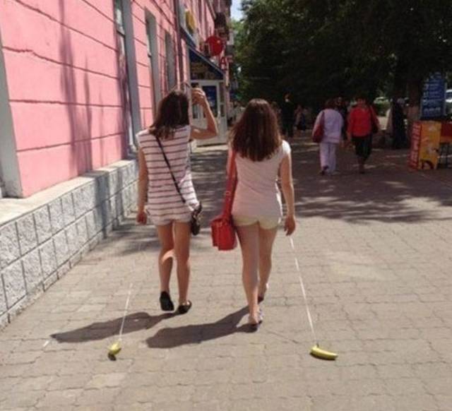 WTF Photos (20 pics)