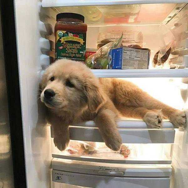Acid Picdump (90 pics)