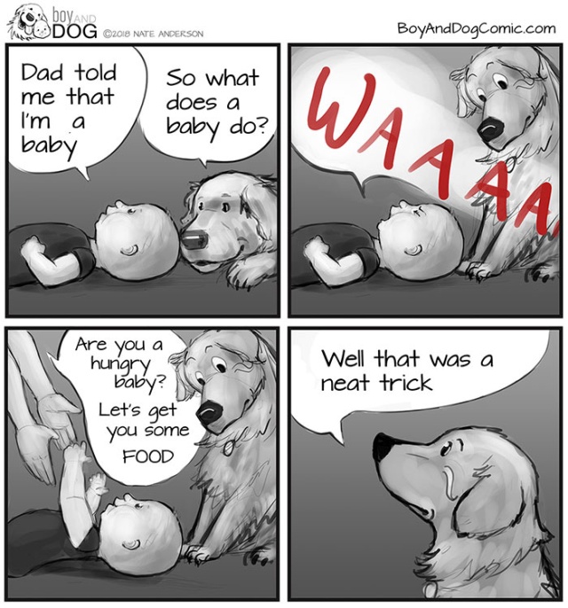 Father Illustrates The Friendship Between His Tiny Baby And Giant Dog (20 pics)