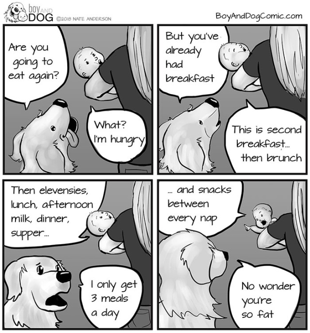 Father Illustrates The Friendship Between His Tiny Baby And Giant Dog (20 pics)