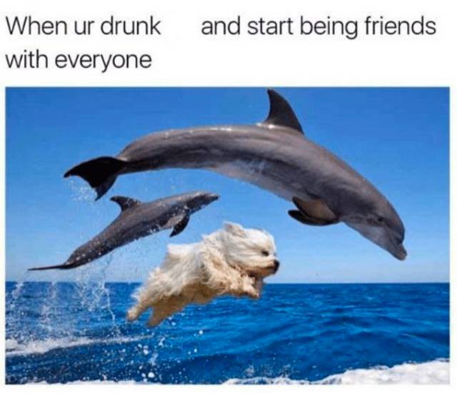 Alcohol Memes (58 pics)