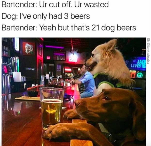 Alcohol Memes (58 pics)