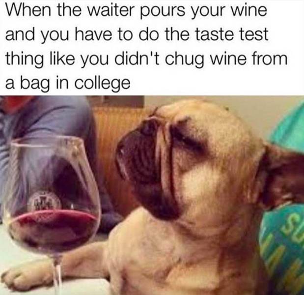 Alcohol Memes (58 pics)