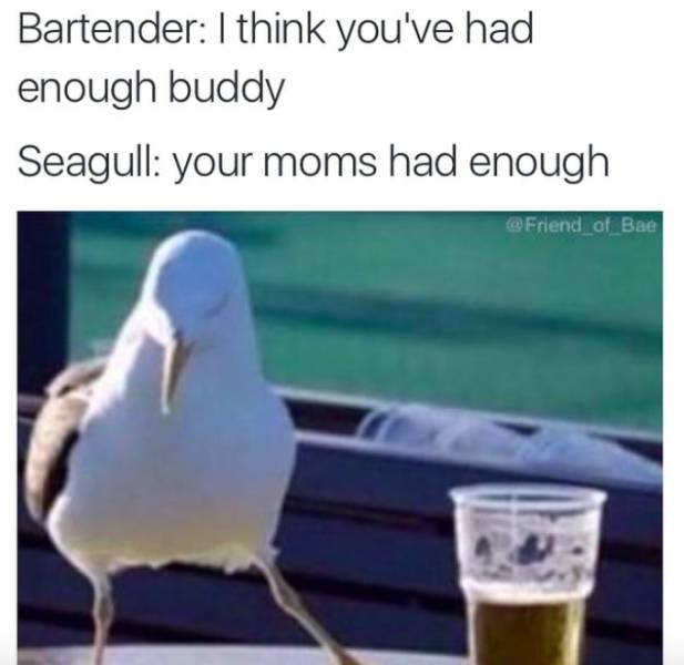 Alcohol Memes (58 pics)