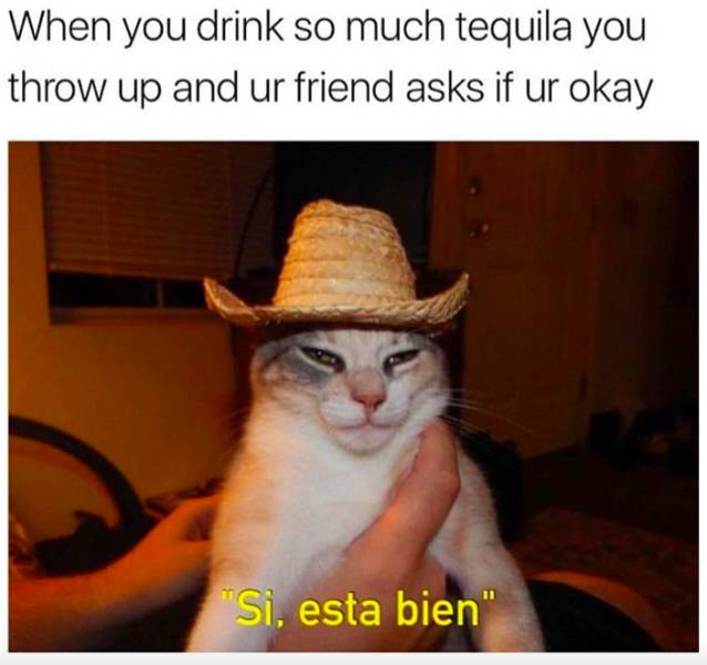 Alcohol Memes (58 pics)