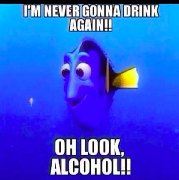 Alcohol Memes (58 pics)