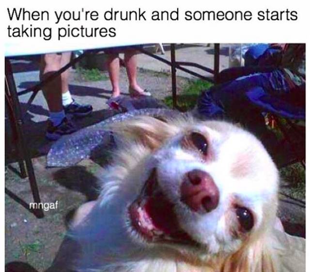 Alcohol Memes (58 pics)