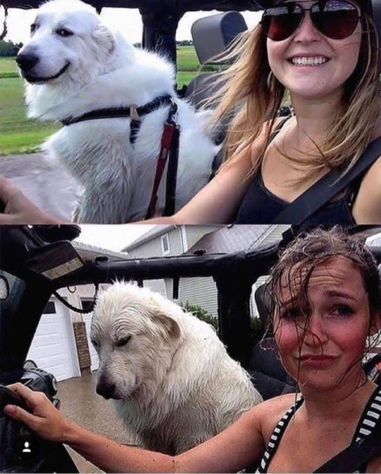 Bad Days Happen (33 pics)