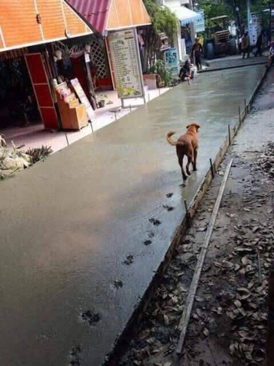 Bad Days Happen (33 pics)