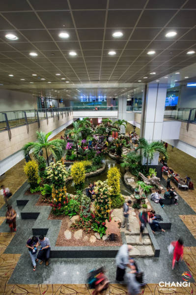 World’s Best Airport In Singapore (20 pics)