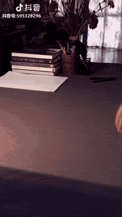 Acid Gifdump, August 29, 2018 (25 gifs)