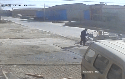 Acid Gifdump, August 29, 2018 (25 gifs)