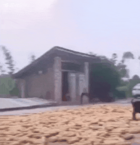 Acid Gifdump, August 29, 2018 (25 gifs)